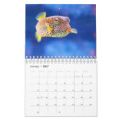 Puffer Kalender (Jan 2027)