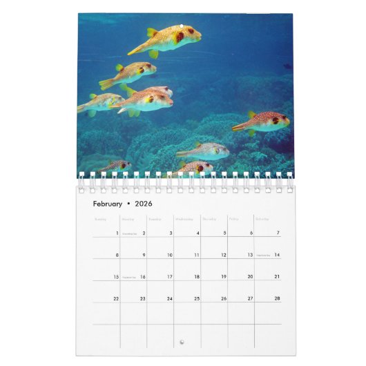 Puffer Kalender (Feb 2026)