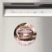 Puffer Magnet (In Situ (Geschirrspüler))