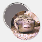 Puffer Magnet (Vorderseite/Rückseite)