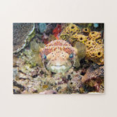 Puffer Puzzle (Horizontal)