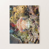 Puffer Puzzle (Vertikal)