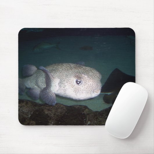 Pufferfische mousepad (Mit Mouse)