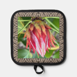 Pufferhalter mit Atemberaubender Protea Topflappen