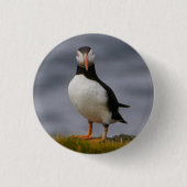 Puffin Abzeichen Button (Vorderseite)