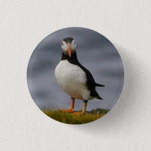 Puffin Abzeichen Button