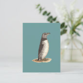 Puffin (Arktis Puffin) Postkarte (Stehend Vorderseite)