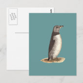 Puffin (Arktis Puffin) Postkarte (Vorne/Hinten)
