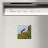 Puffin auf einem Cliff-Kühlschrankmagnet Magnet (In Situ (Geschirrspüler))