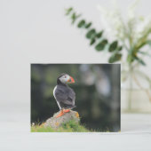 Puffin auf einem Felsen Postkarte (Stehend Vorderseite)