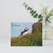 Puffin auf einer Klippe in Island Postkarte (Stehend Vorderseite)