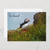 Puffin auf einer Klippe in Island Postkarte (Vorne/Hinten)