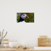 Puffin-Bild für Poster (Küche)