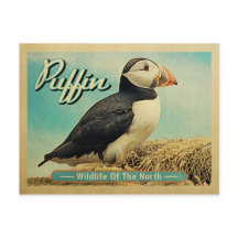 Puffin Bird Postcard - Wildlife of the North