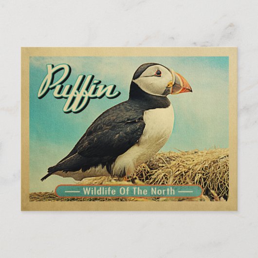 Puffin Bird Postcard - Wildlife of the North Postkarte (Vorderseite)