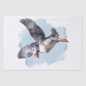 Puffin Bird Seidenpapier (Vorderseite)