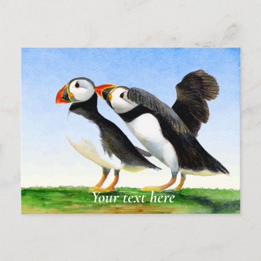 Puffin Bird Wasserfarbenmalerei Postkarte (Vorderseite)