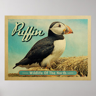 Puffin Bird - Wildtiere im Norden Poster