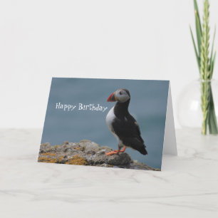 Puffin Birthday Greetings Karte
