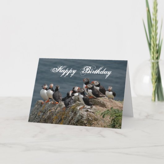 Puffin Birthday Greetings Karte (Vorderseite)