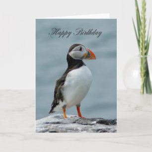 Puffin Birthday Grußkarte Karte