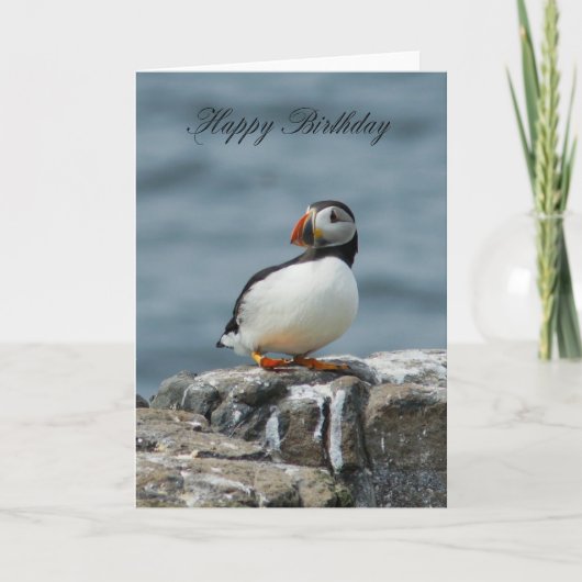 Puffin Birthday Grußkarte Karte (Vorderseite)