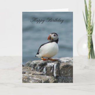 Puffin Birthday Grußkarte Karte