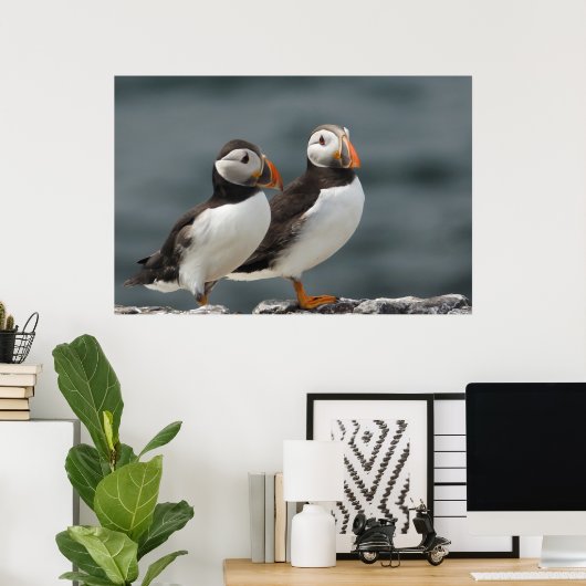 Puffin Duo Poster (Heimbüro)