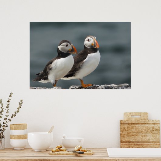 Puffin Duo Poster (Küche)