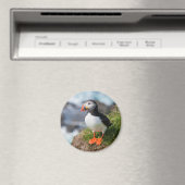 Puffin Fatercula Arctica Magnet (In Situ (Geschirrspüler))