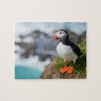 Puffin Fatercula Arctica Puzzle