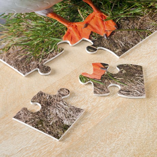 Puffin Fatercula Arctica Puzzle (Seite)