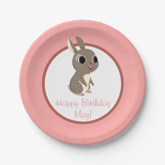 Puffin-Felsen-Party-Platte - können Sie Pappteller (Vorderseite)