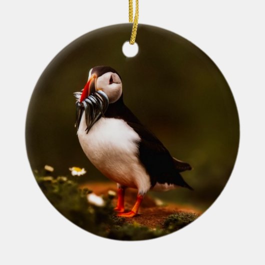 Puffin Fish Animal Bird Wildlife Atlantic Island Keramik Ornament (Vorne)