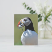 Puffin Fisherman Postkarte (Stehend Vorderseite)