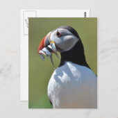 Puffin Fisherman Postkarte (Vorne/Hinten)