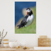 Puffin (Fratercula Arctica) auf der Klippe 2 Poster (Küche)