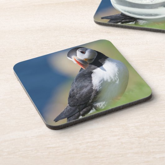 Puffin (Fratercula Arctica) auf der Klippe 2 Untersetzer (Linke Seite)