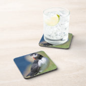 Puffin (Fratercula Arctica) auf der Klippe 2 Untersetzer (Rechte Seite)