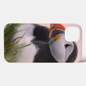 Puffin (Fratercula arctica) Case-Mate iPhone Hülle (Rückseite (Horizontal))