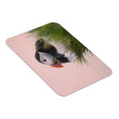 Puffin (Fratercula arctica) Magnet (Rechte Seite)