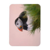 Puffin (Fratercula arctica) Magnet (Vertikal)