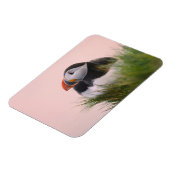 Puffin (Fratercula arctica) Magnet (Linke Seite)