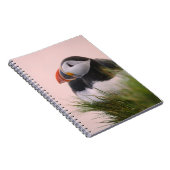 Puffin (Fratercula arctica) Notizblock (Rechte Seite)