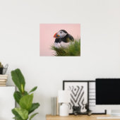 Puffin (Fratercula arctica) Poster (Heimbüro)