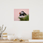 Puffin (Fratercula arctica) Poster (Küche)