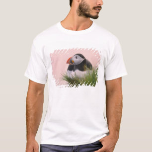 Puffin (Fratercula arctica) T-Shirt