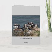 Puffin Greeting Cards Karte (Rückseite)