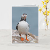 Puffin Greeting Cards Karte (Gelbe Blume)