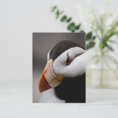 Puffin Horned 9028 Postkarte (Stehend Vorderseite)